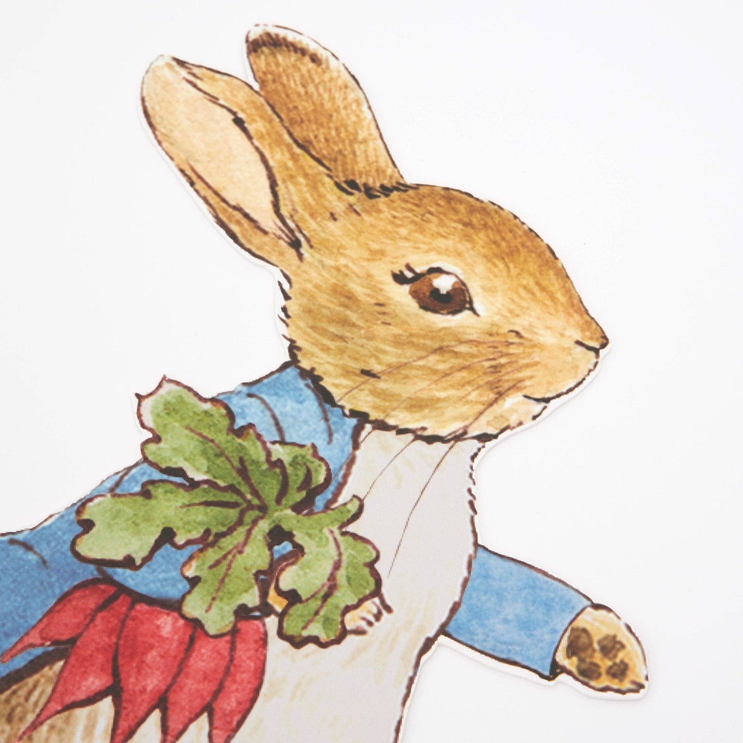 Peter Rabbitâ„¢ & Friends Egg Hunt Kit