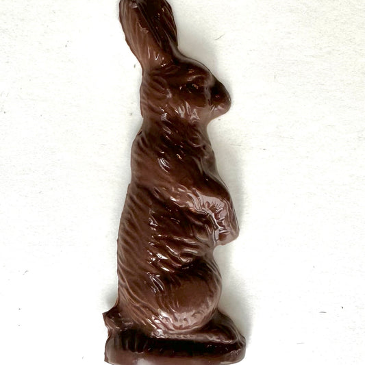 Connie Cottontail Pop